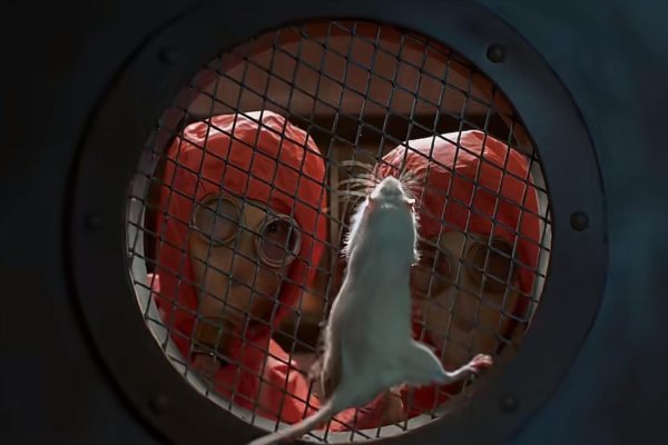 牛股堂 《731》大结局：王永章真的牺牲了吗？